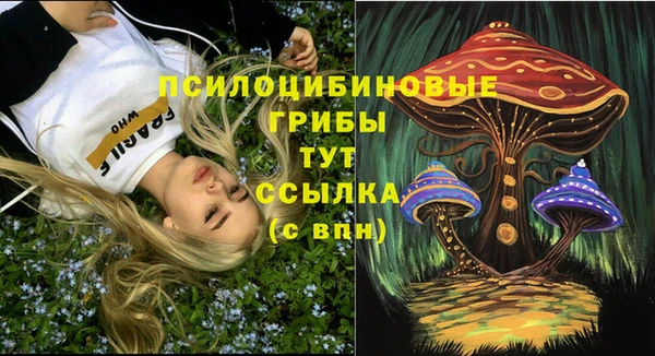 бутират Алексеевка